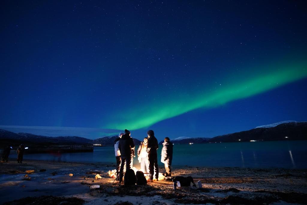Arctic Rooms REKTOR room 3