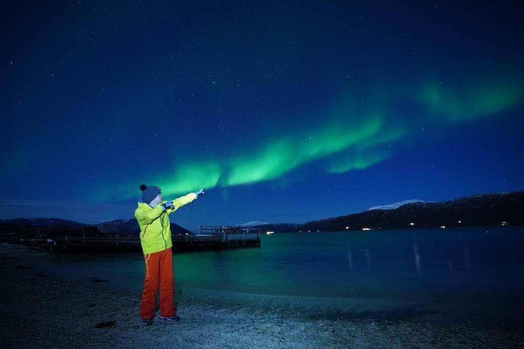 Arctic Rooms REKTOR room 5