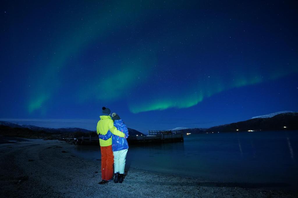 Arctic Rooms REKTOR room 6